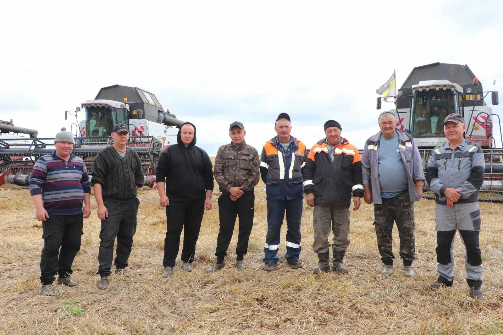 Районыбызда кызу урак өсте