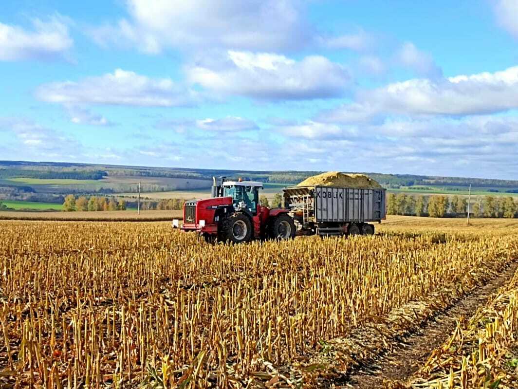 Мал азыгы уңды, дип сөенерлек