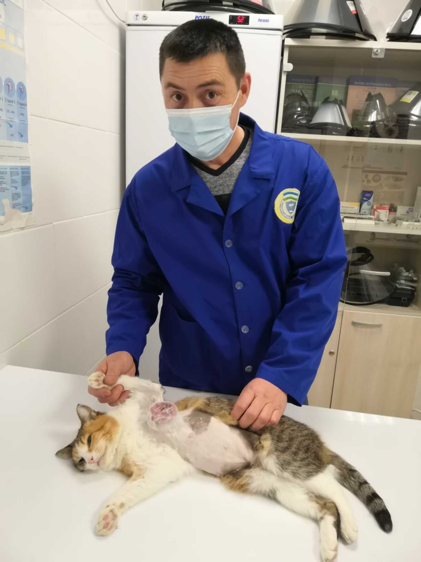 Малкайларның телен аңлый