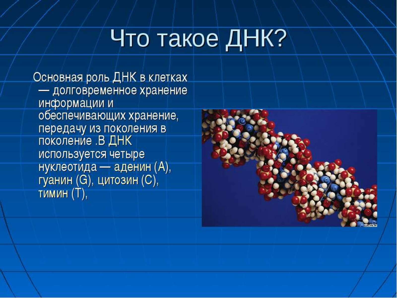 Темы для проекта по биологии 11. Роль ДНК. Биологическая роль ДНК. ДНК сообщение.