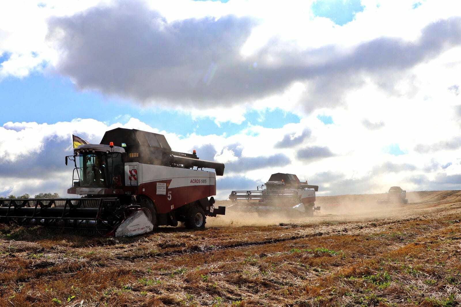 Районыбызда кызу урак өсте