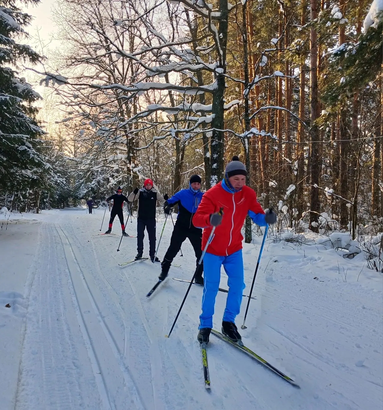 Чаңгы спортын үз итеп