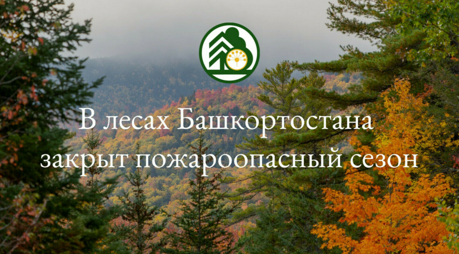 В лесах Башкортостана закрыт пожароопасный сезон