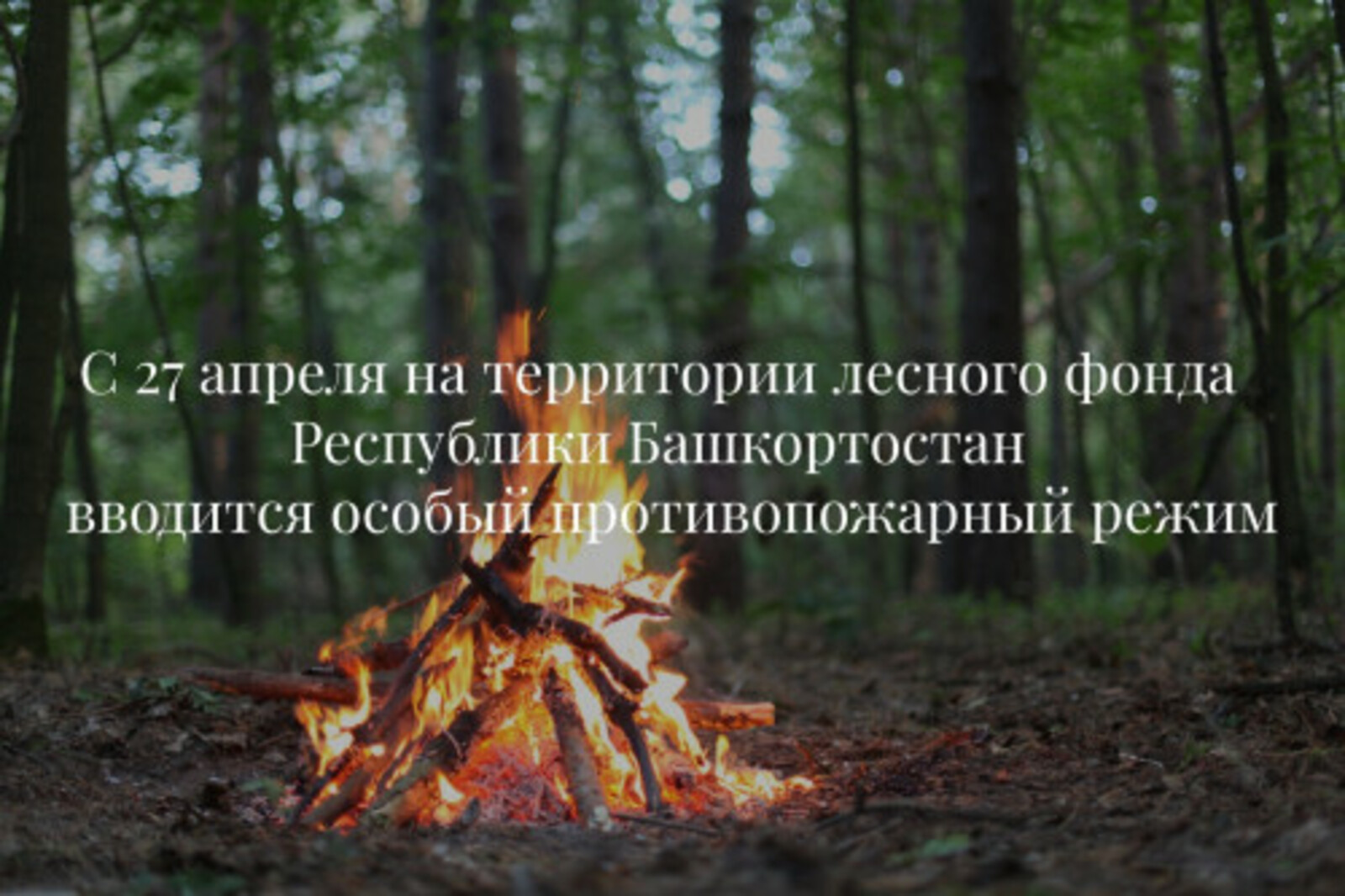 В лесах Республики Башкортостан с 27 апреля вводится особый противопожарный режим
