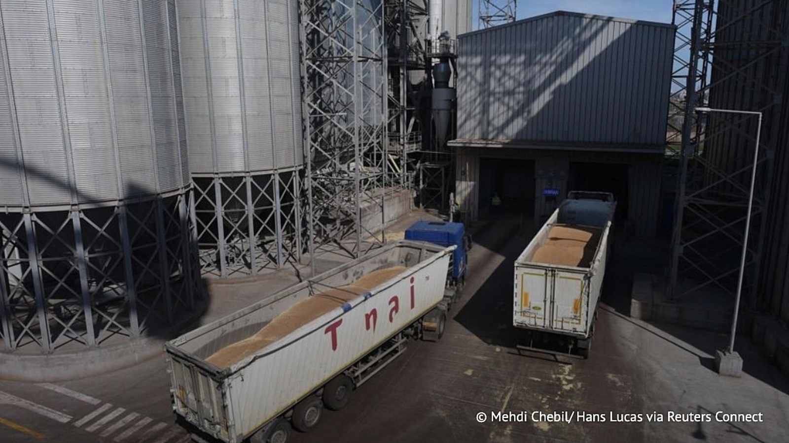 Путин сообщил Эрдогану о проработке поставок зерна нуждающимся странам