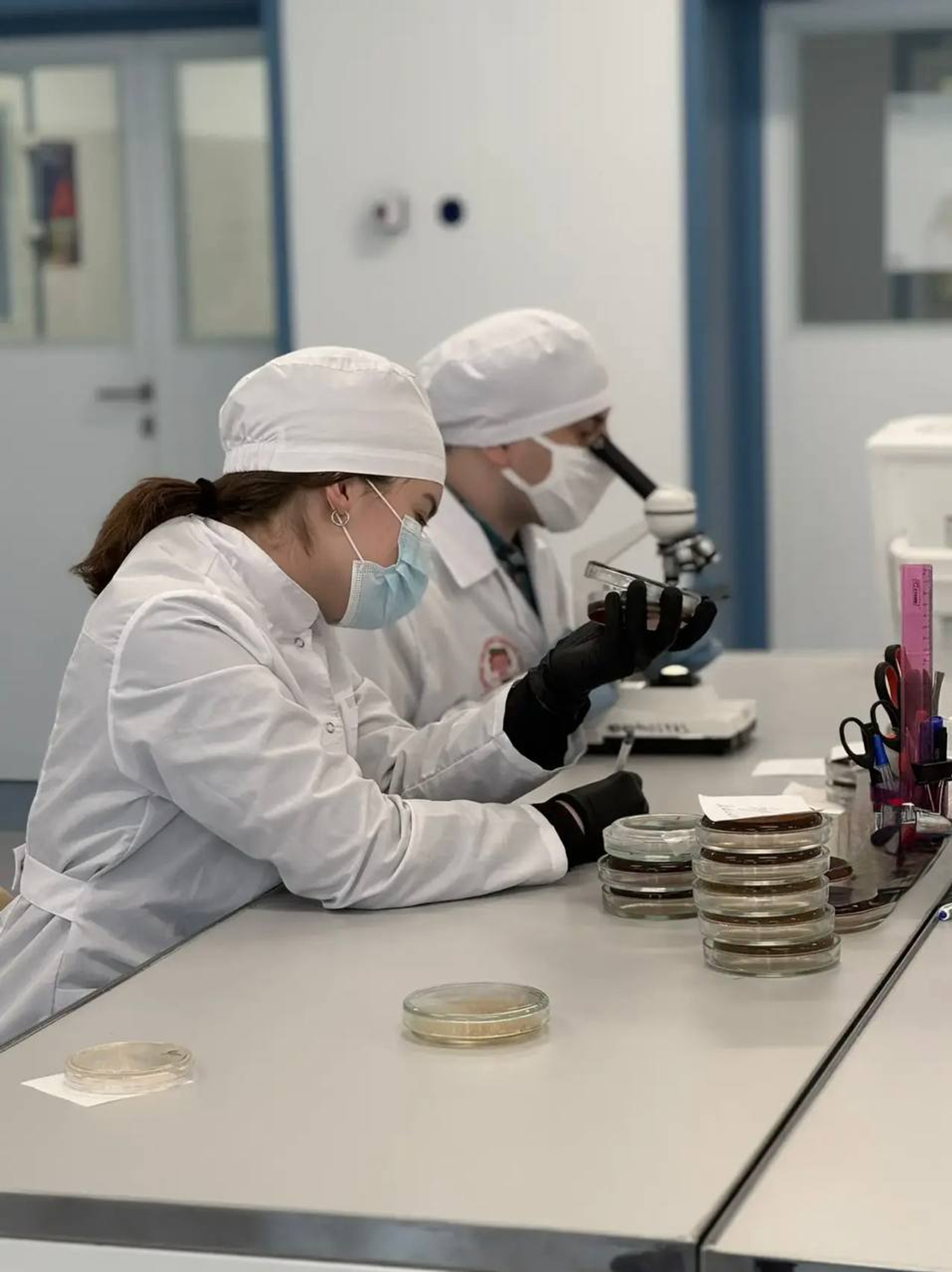 В Межвузовском кампусе создали тест-систему для быстрого поиска