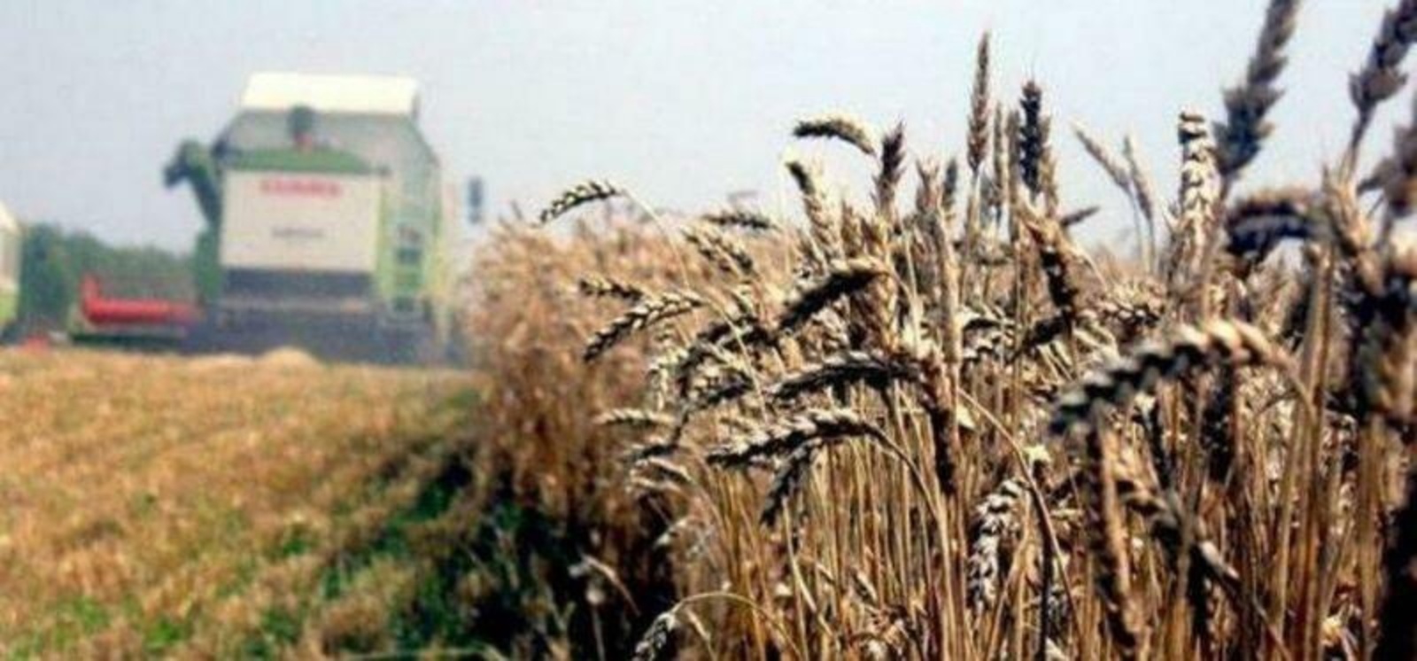В Башкирии в этом году выделят 173 миллионов рублей на субсидии сельхозкооперативам