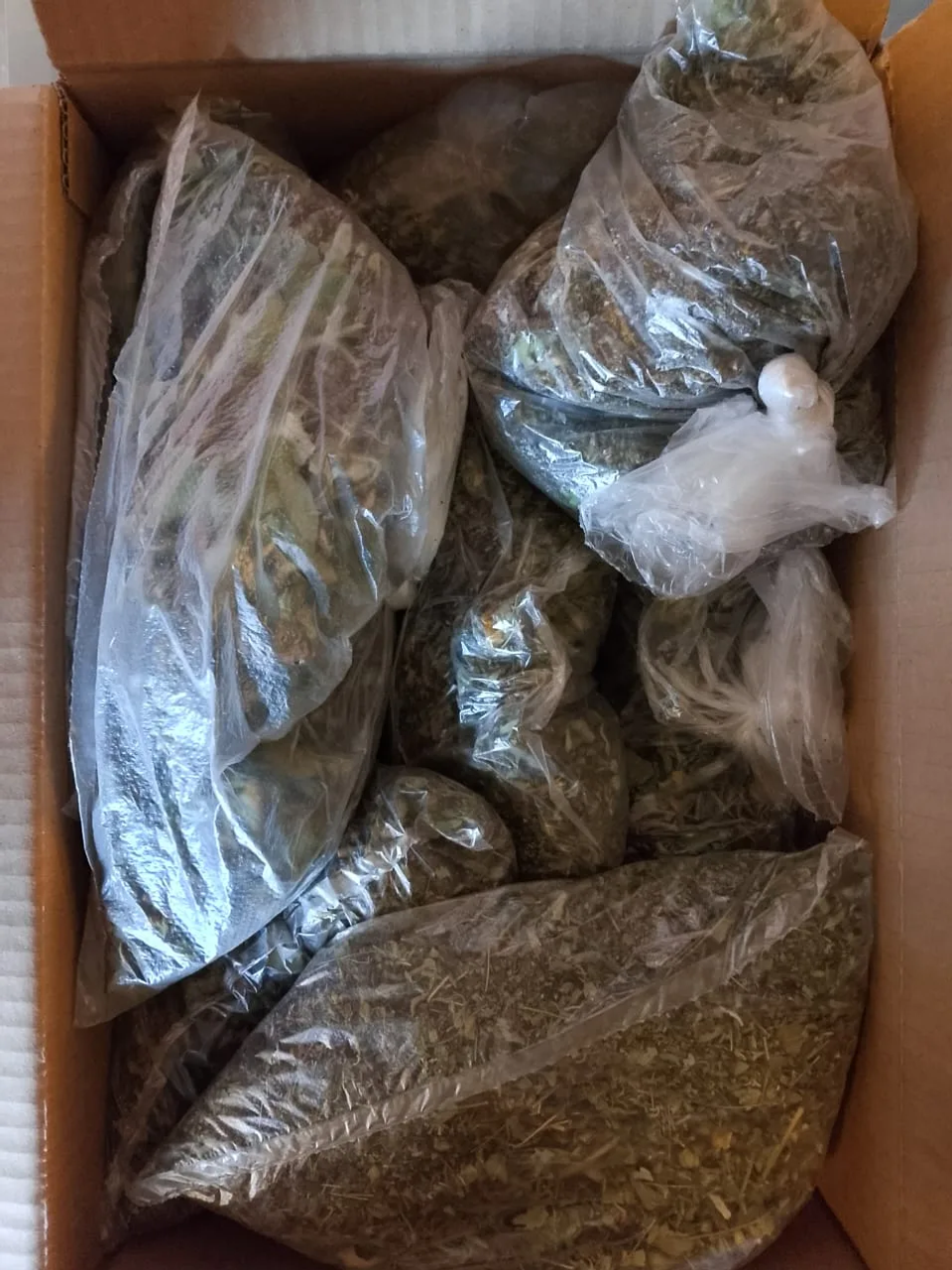 Яугирләргә ярдәм булсын дип