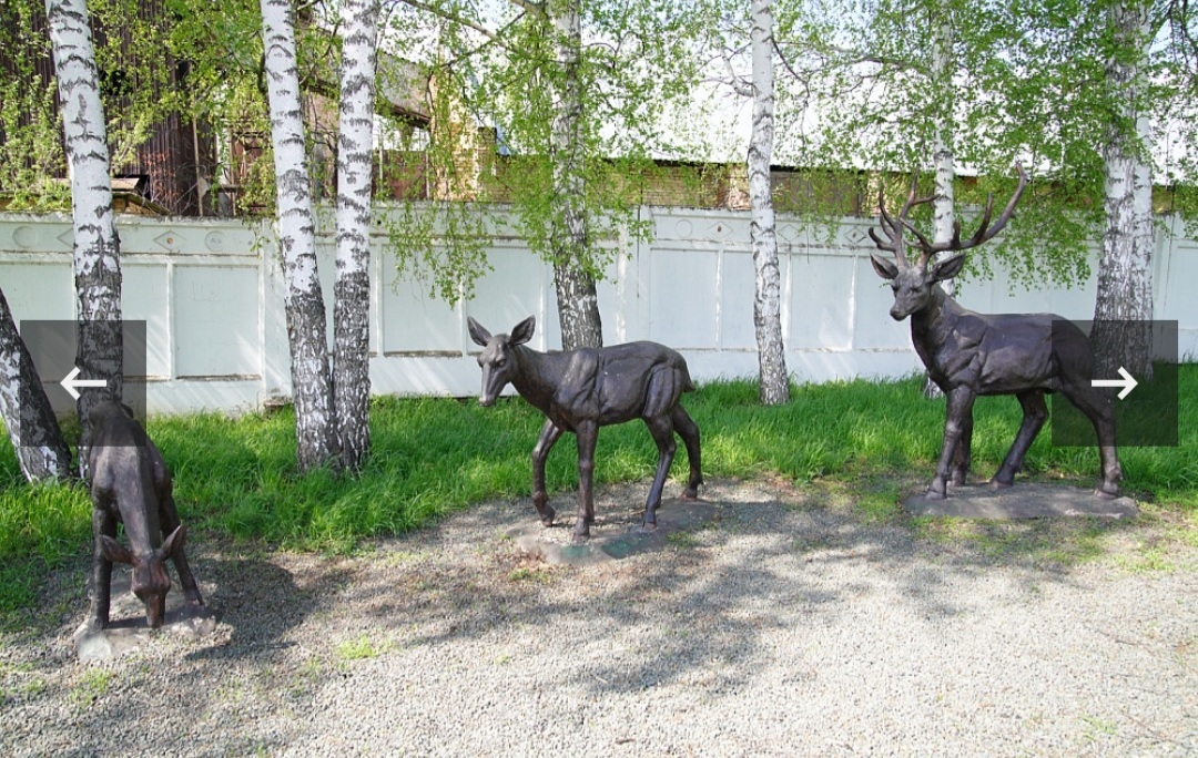 Сформируем программу, чтобы навести порядок на центральных площадях