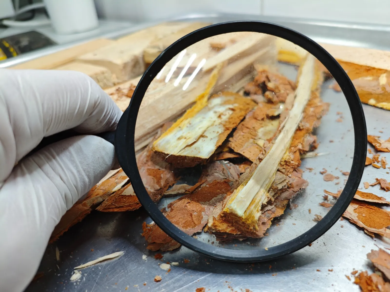 Башкирия экспортировала 10 тысяч кубометров пиломатериалов