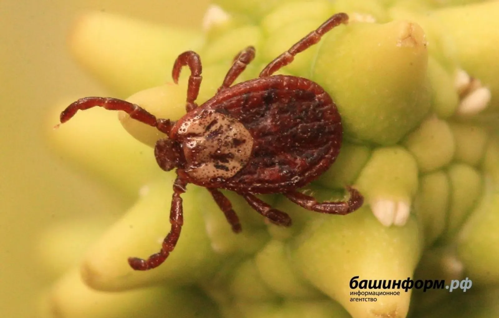 Жители многоквартирных домов могут передавать показания счетчиков и направлять о