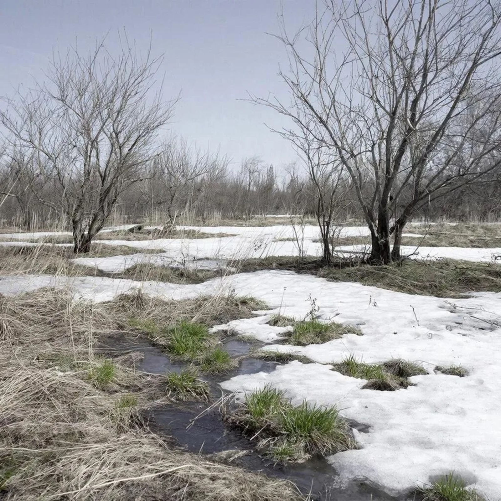 Башкортстанда +15°ка кадәр җылытачак