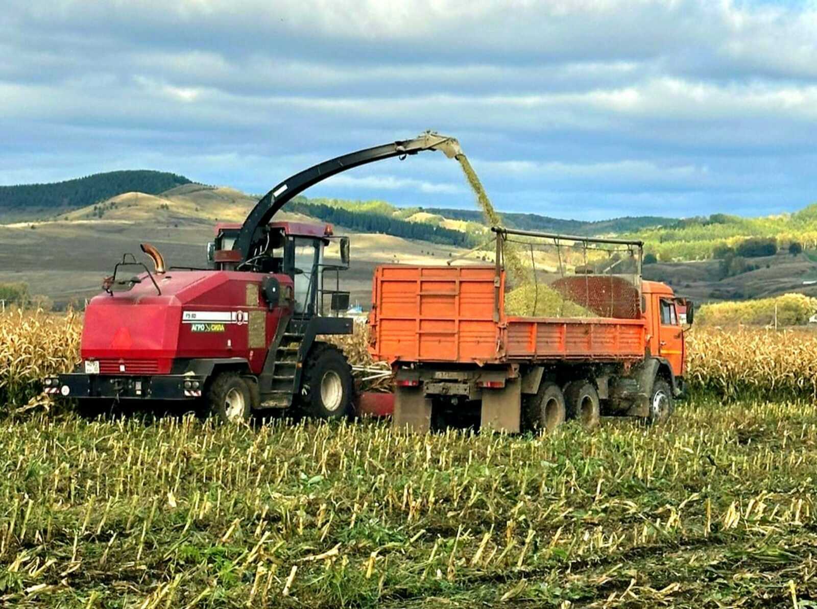 Мал азыгы уңды, дип сөенерлек