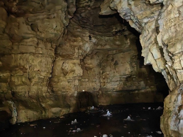 Республикабызның гүзәл табигатенә сокланып