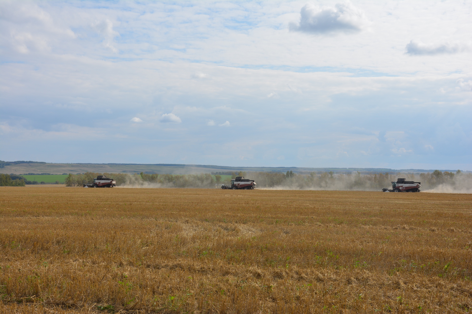 Уңыш өчен көрәш шартларында