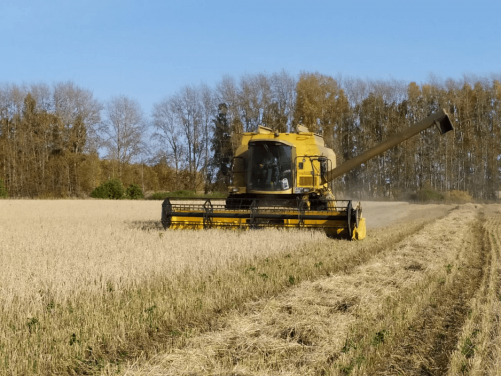 Скоро на весенне-полевые работы в Башкортостане выйдут более 10 тыс. тракторов