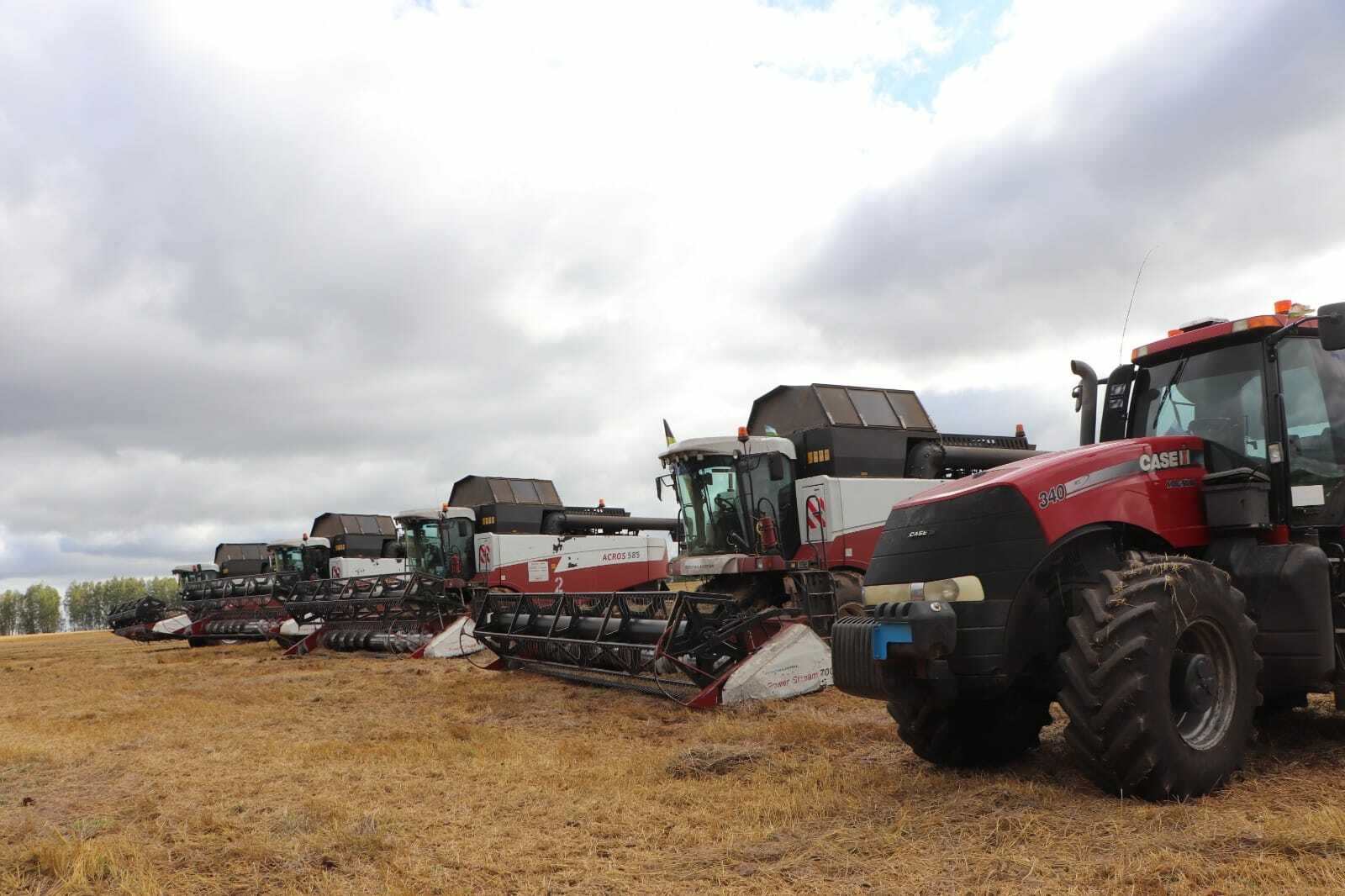 Районыбызда кызу урак өсте