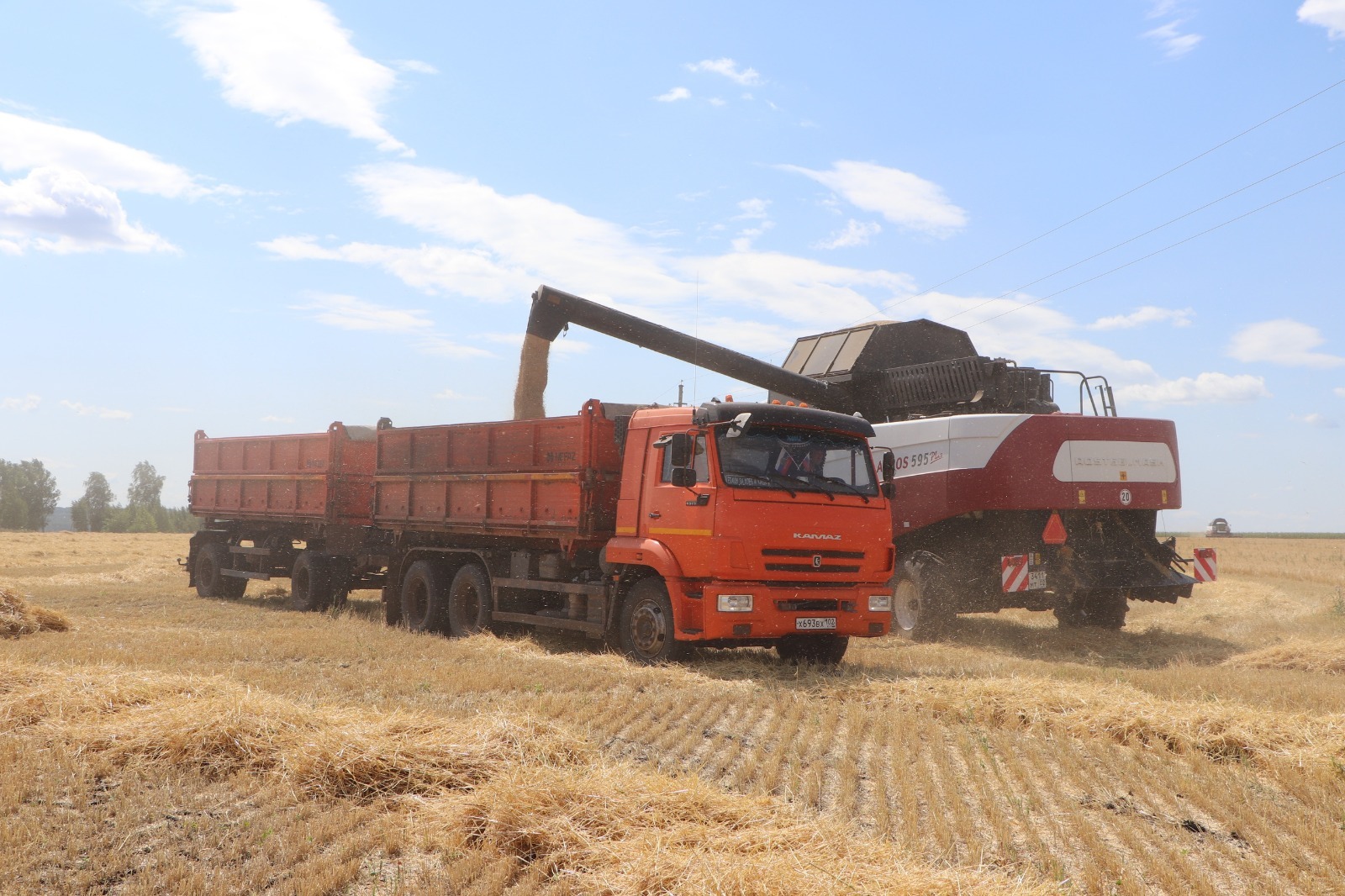 Бөртеген дә югалтмыча җыеп алырга