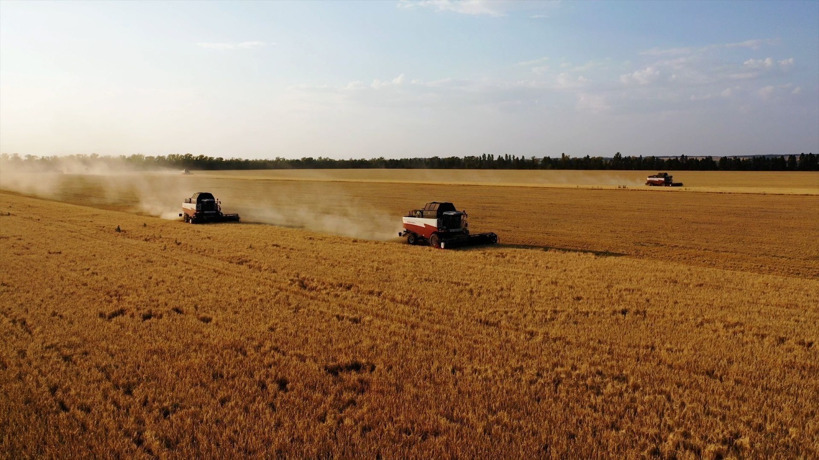 Производство продукции АПК Башкирии превысило среднероссийский показатель